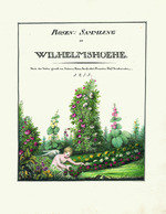 Rosenalbum. Rosen-Sammlung zu Wilhelmshoehe, 148 Blätter