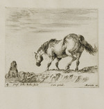 Pferd auf einem Hügel