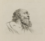 Kopf eines alten bärtigen Mannes, nach rechts oben schauend