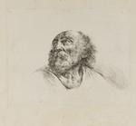 Kopf eines alten bärtigen Mannes, nach links oben schauend