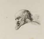 Kopf eines alten bärtigen Mannes, nach links unten schauend