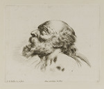 Kopf eines alten bärtigen Mannes, nach links oben schauend