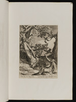 Elias wird von Raben ernährt