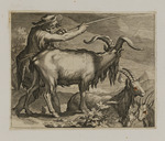 Hirte mit vier Ziegen