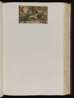 Vier Pfauen, die von einer Frau mit Körnern gefüttert werden