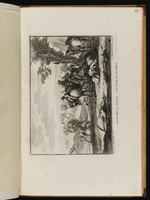 Kavallerie, welche auf einem Roggenfeld fouragiert