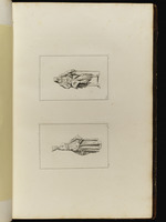 Oben: Mann mit Hut und Stock; unten: Junge Frau, nach rechts gewandt