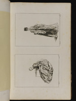 Oben: Frau in Rückansicht; unten: Sitzende Frau mit geschlossenem Fächer im Profil nach links, den Kopf zum Betrachter gewandt