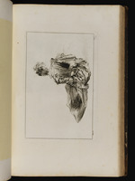 Auf dem Boden sitzende junge Frau in Rückansicht