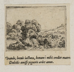 Das Mutterschaf, nach seinem Lamm rufend