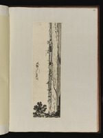 Ansicht von Stenay während der Eroberung durch die Franzosen am 6. August 1654