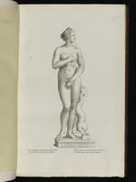 Statue der Venus mit Delphin
