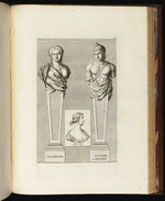 Büsten der Kleopatra und des Scipio, Profil der Livia