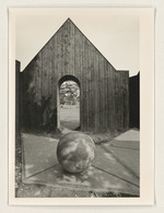 Ort und Schatten, documenta 8, Dokumentation der Arbeit in der Karlsaue