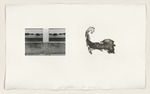 Photographs & Etchings, Blatt aus der Reihe