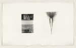Photographs & Etchings, Blatt aus der Reihe