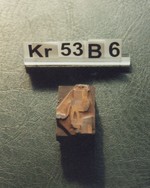 Kupferdruckplatte für Hochdruck; Motiv: Nußreibe